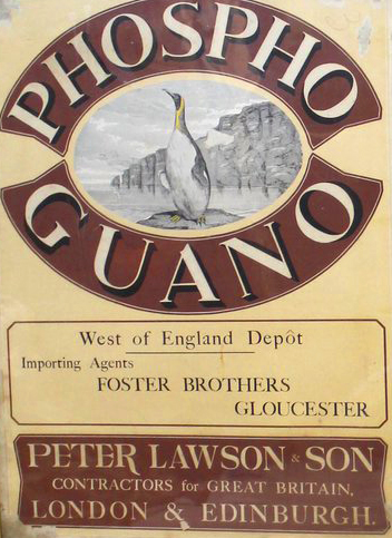 1860 Gloucester Guano Poster