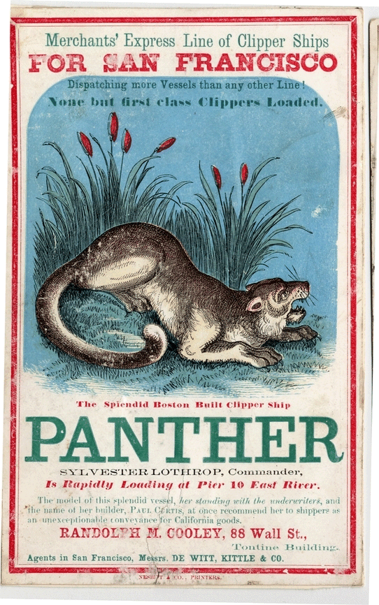 Panther Clipper Advertising Card #2