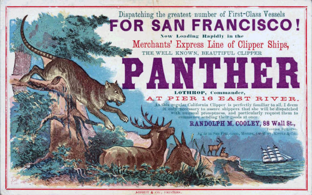 Panther Clipper Card