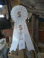 3rd place Grande Award Steveston Salmon Festival