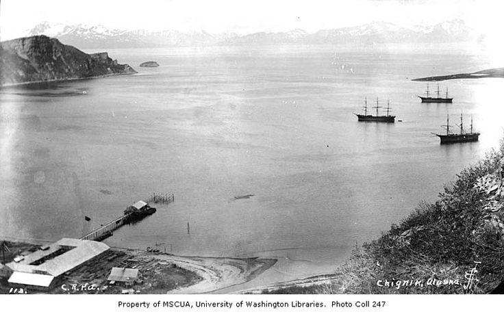 Alaska Packers Cannery at Chignik Bay 1902