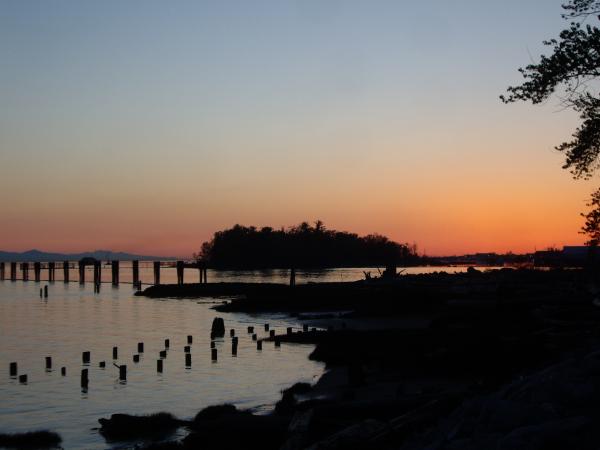 Shady Island at Sunset